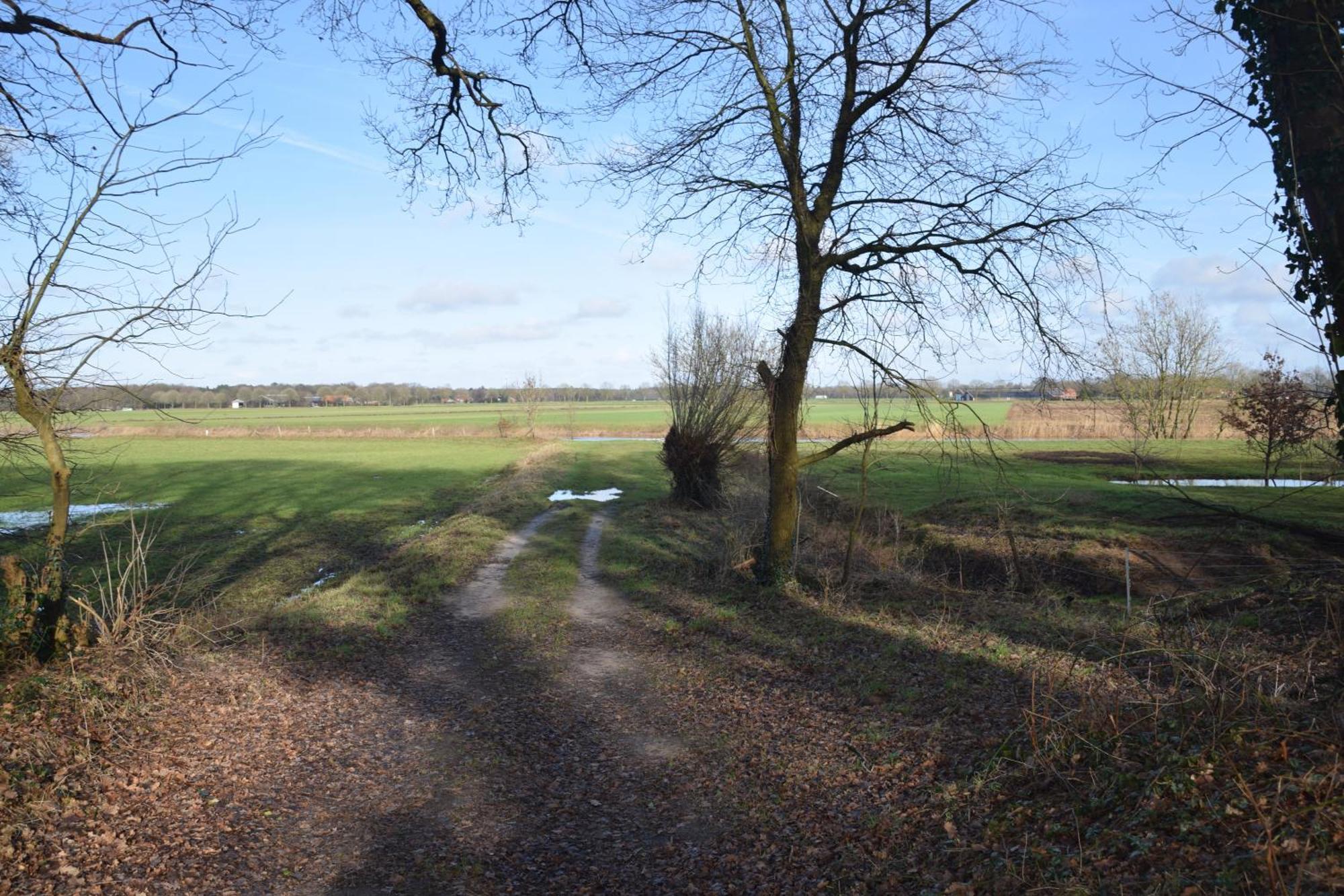 Vakantiehuis De Veldhoen Vrijgelegen Nabij De Rivier De Vecht Beerze 외부 사진
