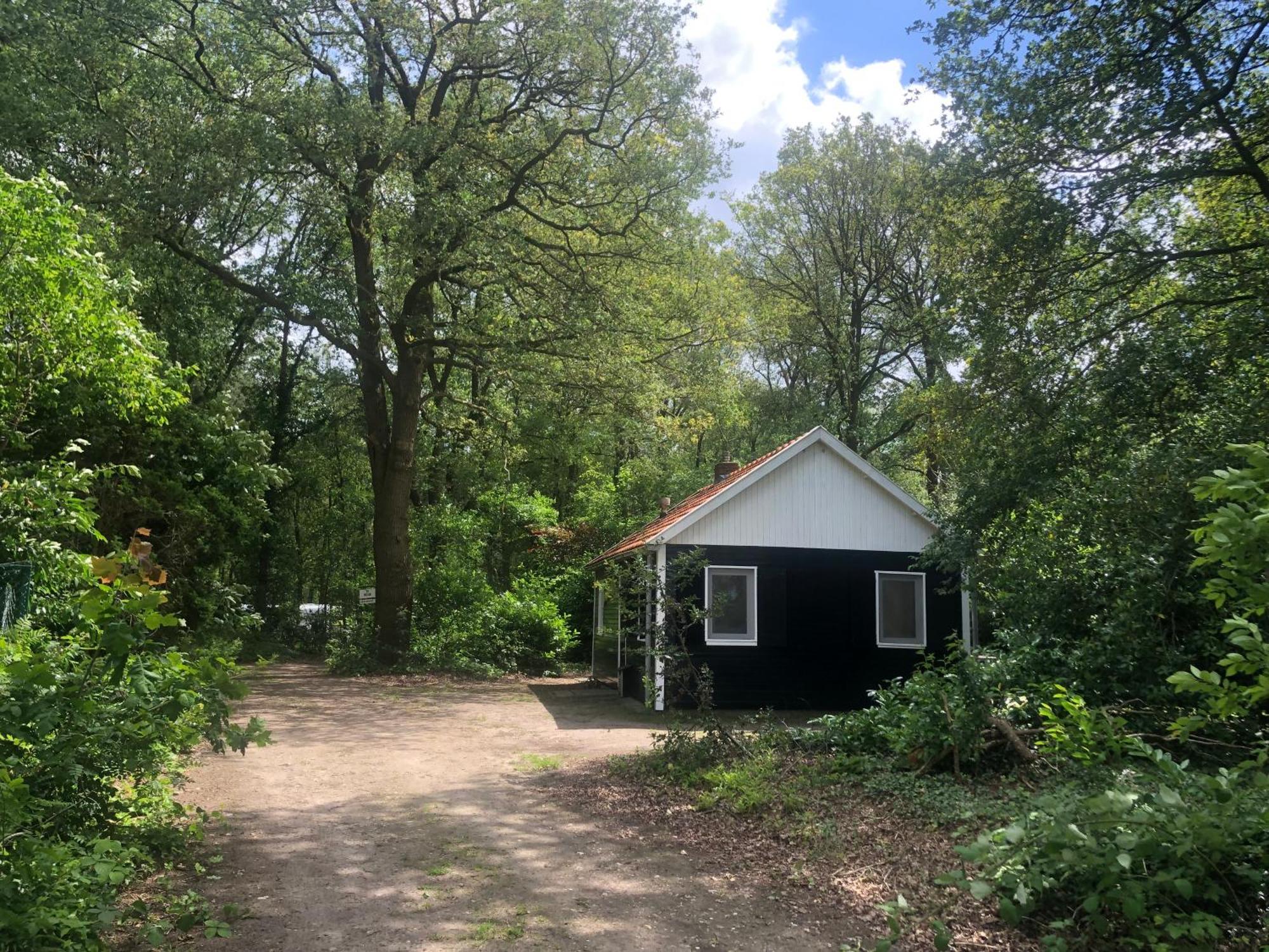 Vakantiehuis De Veldhoen Vrijgelegen Nabij De Rivier De Vecht Beerze 외부 사진