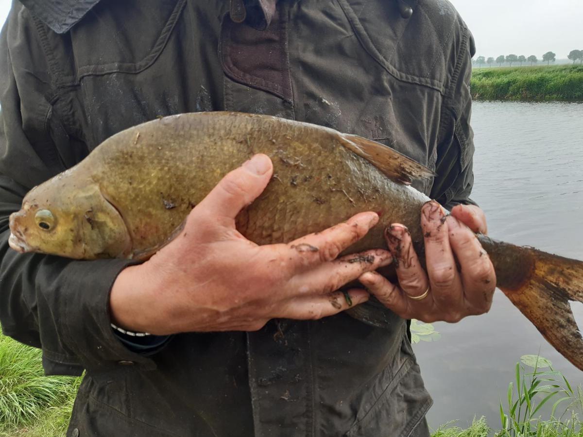 Vakantiehuis De Veldhoen Vrijgelegen Nabij De Rivier De Vecht Beerze 외부 사진